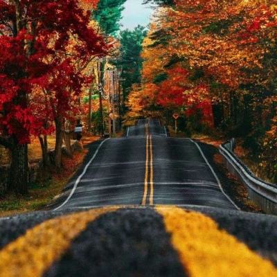 皇冠新体育下载手机版截图