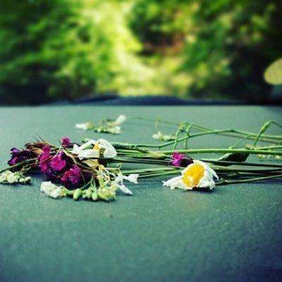 千亿国际手机app下载