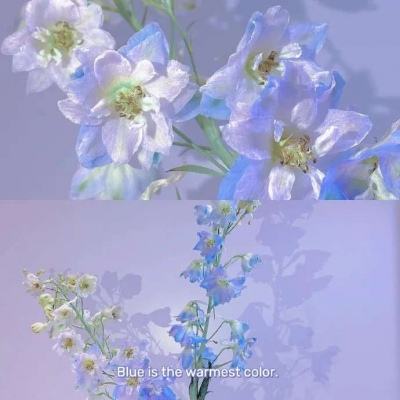 千亿国际手机app下载