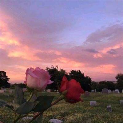 贝博app代言艾弗森手机app下载截图