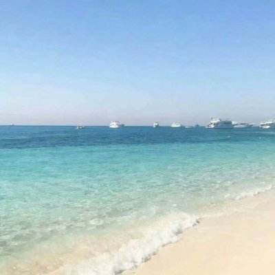 BOB体育登录APP下载截图