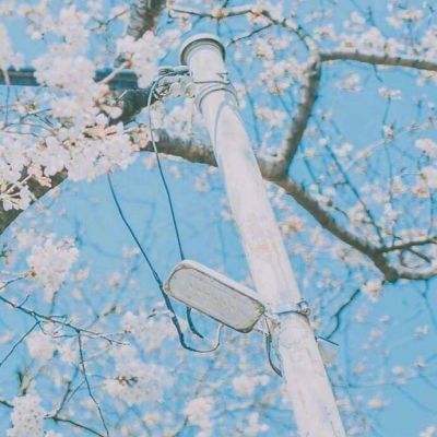 丰禾棋牌app下载