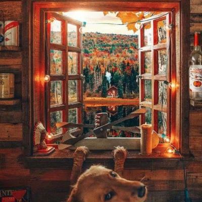 BOB体育登录APP下载截图