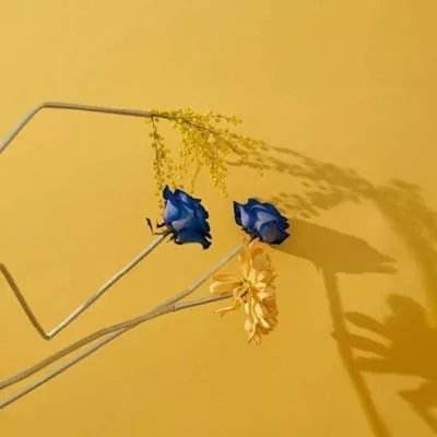 im电竞官网注册